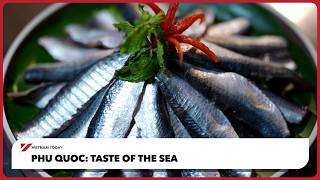 Phu Quoc: Taste of the sea | Vietnam Today