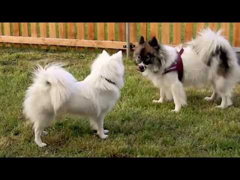 Najah und Fly - zwei Freundinnen