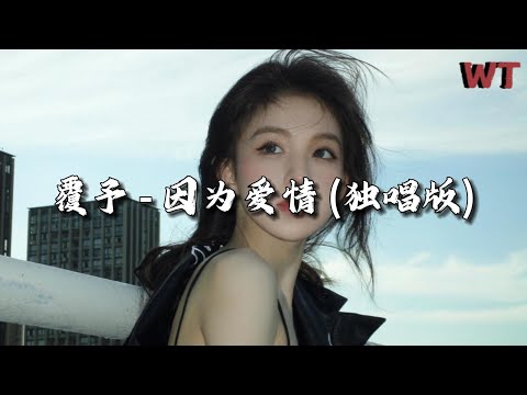 覆予 - 因为爱情 (独唱版)『因为爱情不会轻易悲伤，所以一切都是幸福的模样。』【动态歌词MV】）