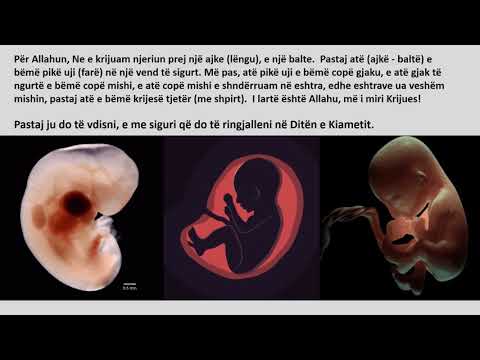 Si u krijua njeriu?! Kush e krijoi njeriun?!