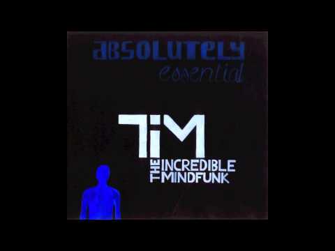 The Incredible MindFunk - Everyday Is...