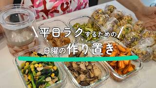 【一人暮らし】平日のお弁当をラクにする日曜日の作り置き｜初めて作るおかずと、家計簿を始めた話｜Sunday Meal Prep for Easy Weekday Lunches |