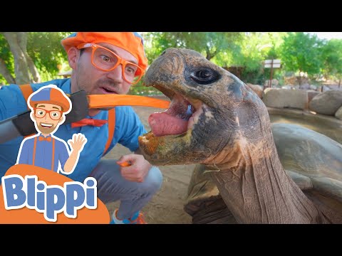Blippi Visits a Zoo! | Learn About Animals For Kids | Educational Videos for Toddlers