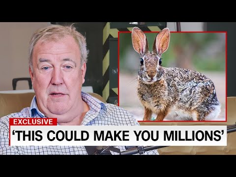 The Most PROFITABLE Farm Animals Every Farmer NEEDS To Breed..