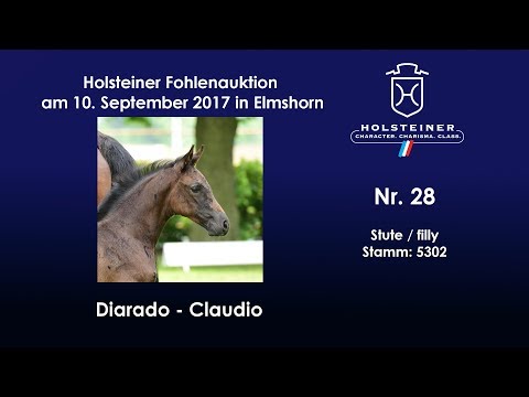 Nr. 28 v. Diarado - Claudio