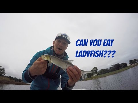 YouTube video about: Are lady fish good to eat?