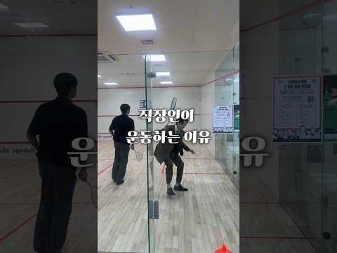 도파민 과다분비 되는 스쿼시 해볼래요?? #squash #쇼츠 #스쿼시 #테니스 #실내운동 #배드민턴