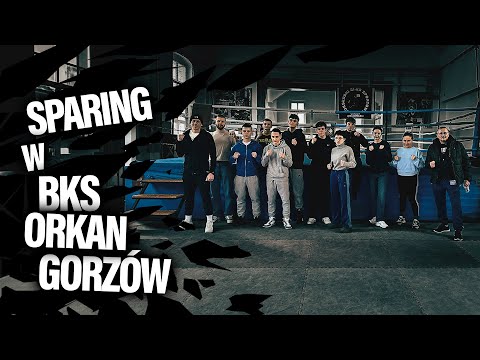 Sportowa turystyka naszych pięściarzy - sparingi w BKS ORKAN GORZÓW