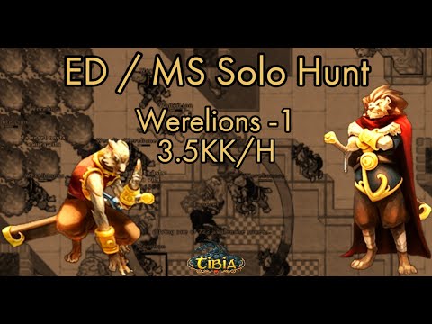 Tibia 2021 - Darashia Werelions For Mage - 400 ED Solo Profit Hunt.