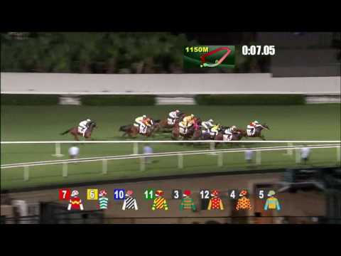 7-6-2017史卓豐跌馬?(翡翠紅星)