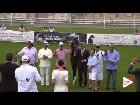 1ST Place N.67 CADANCE PA - Chantilly 2015 AWC - Colts Championship (Class 15)