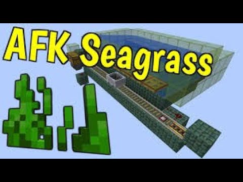 How to build a sea grass farm