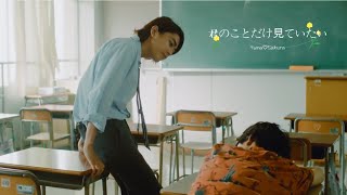 Download lagu Kimi no Koto Dake Mite Itai ▶「You’re the only one I want to see you」 mp3