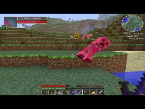 Am un cal-EpicCraft #9