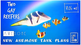 Awesome New Anemone Tank Plans! - VLOG #11