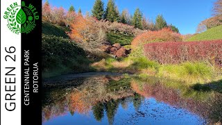 Hidden in Rotorua: Why No One Talks About This Park?