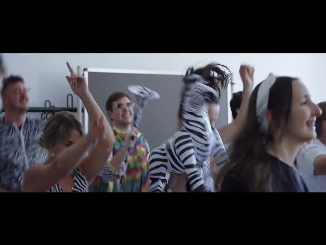 Video zu 'Zebrastreifenpferd' ansehen