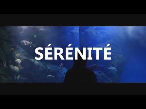 [FREE] Nepal Type Beat - Sérénité (prod. Piko Beats)