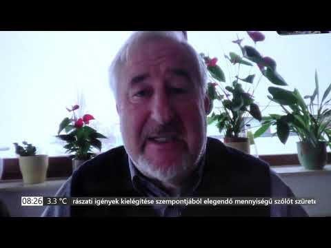 PIRKADAT Breuer Péterrel: Dr. Magyar György