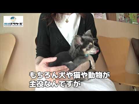 飼い主女性の声