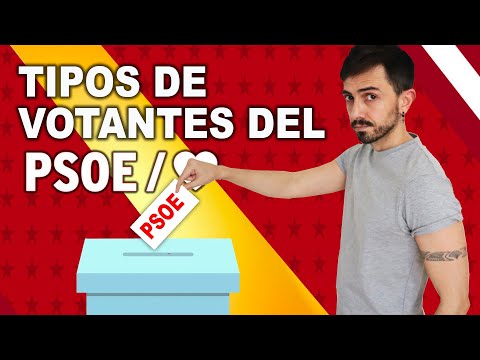 Los 9 tipos de VOTANTES del PSOE | InfoVlogger