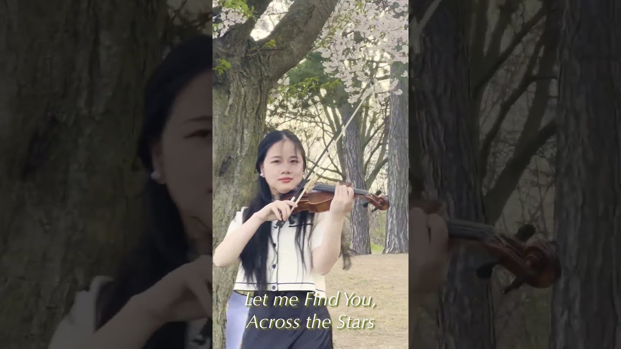 Promotional video thumbnail 2 for Lynn's Moonlight Music