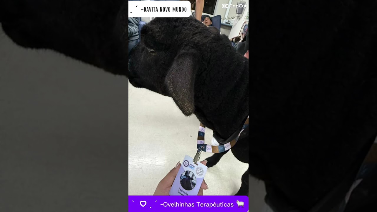 Simone Cristina Mikosz Goncalves-6