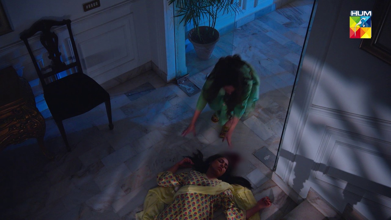 Gul Seeriyon Se Gir Kar Mar Gayi... #AyeDilAazmaNahin #mirzazainbaig #hinatariq - HUM TV