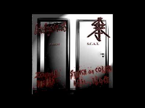 Choked By Own Vomits / S.C.A.T. (SxCxAxTx) split FULL ALBUM (2009 - Goregrind / Death Metal)