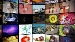 iPad App Quick Overview: Science 360