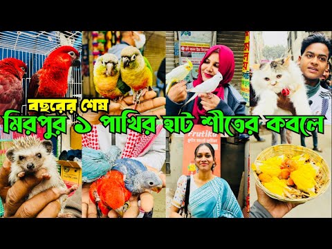 বছরের শেষ হাট শীতের ক'বলে | Mirpur 1 Pakhir Hat | মিরপুর ১ পাখির হাট #viral