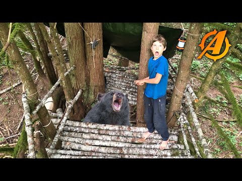 Black Bear Tries to Climb Up Our Bushcraft Survival Tree Shelter