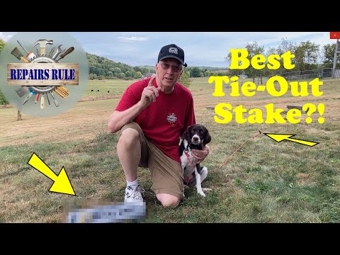 This May Be the Best Tie Out Stake for Dogs Ever Made!