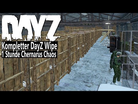 Kompletter DAYZ CHERNARUS Wipe in 1 Stunde - Unser unaufhaltsamer Weg von 0 zur Dominanz - DAYZ