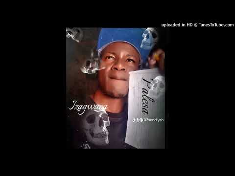 Palesa Remix ft (Selimathunzi)