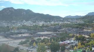 LIVE | Gyeongbokgung Palace, Seoul • Ambient Music • 24/7 live webcam