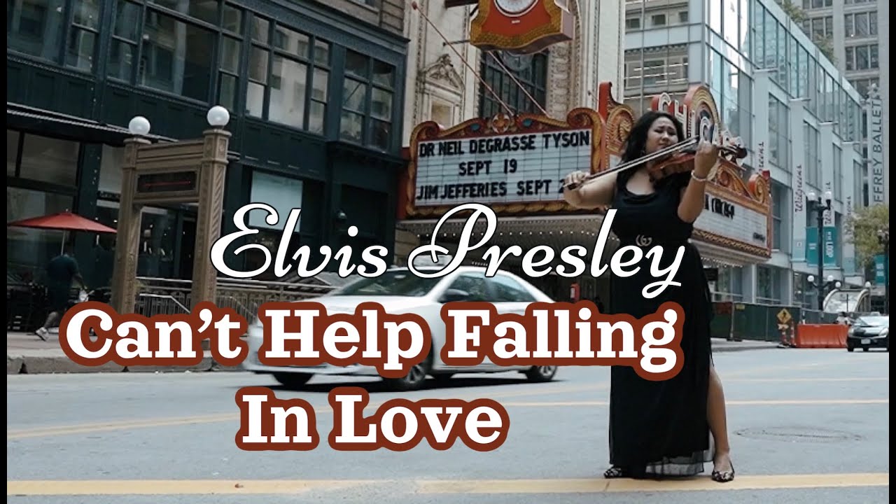 Promotional video thumbnail 4 for Chicago wedding violinist Tamila Viola