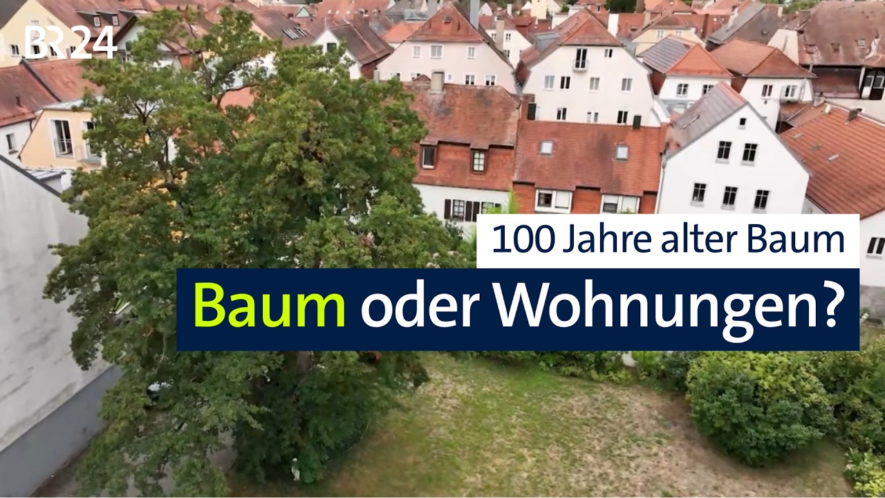 Natur- und Klimaschutz und Wohnungsbau unvereinbar? | Abendschau | BR24