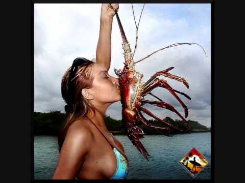 Dark-sun nino (la langouste )