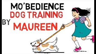 2 1/2 y/o Chihuahua Mix "Meiko"; 14-day obedience 