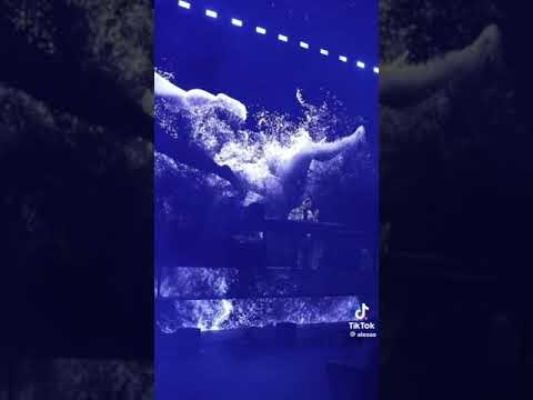 Alesso & SICK INDIVIDUALS - ID w/ Calvin Harris & Alesso ft. Hurts - Under Control  @ Red Rocks