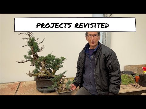 Projects Revisited