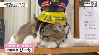 Vol.171「にゃん旅鉄道」ぼくに任せてにゃ