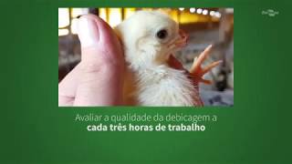 Miniatura do vídeo