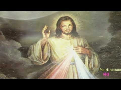 LUI SADOVEANU-de Olga Alexandra Diaconu