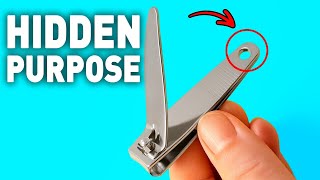 The Hidden Purpose of Everyday Items That Nobody Told You