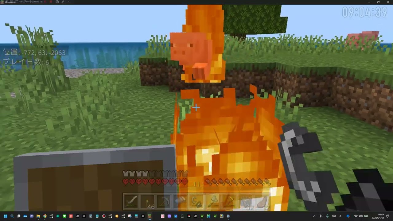 ハードコアチャレンジ29 2