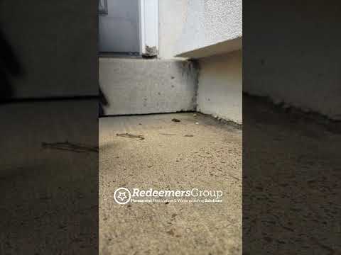 Lifting Confidence: Concrete Repair & Leveling in Collierville, TN