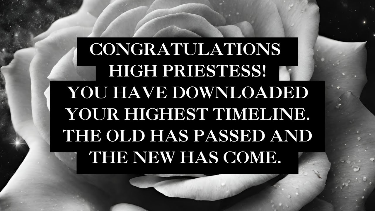 Congratulations High Priestess! You have entered into your highest timeline. 8/8/8 portal ✨