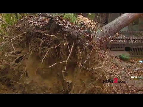Massive tree falls on west Greensboro house
